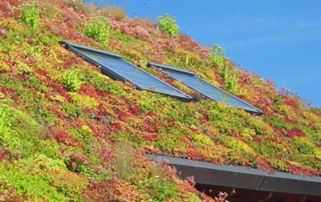 High Grange living roof systems